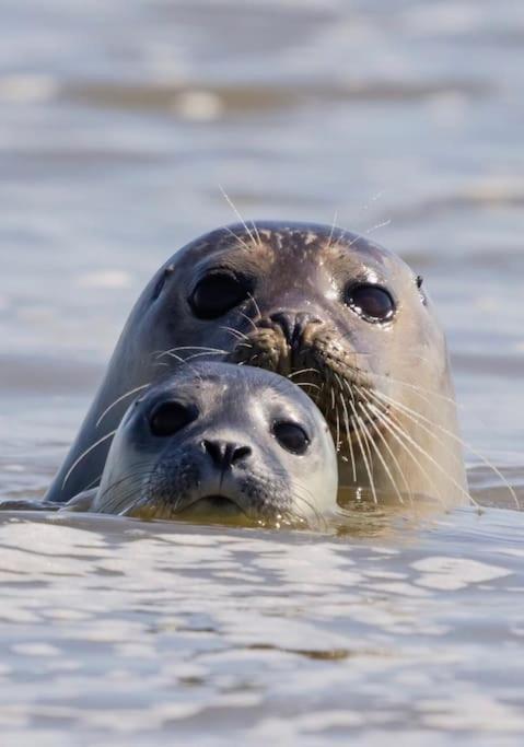 Les Pieds Dans L'eau... Au Chaud !!! * Le Crotoy