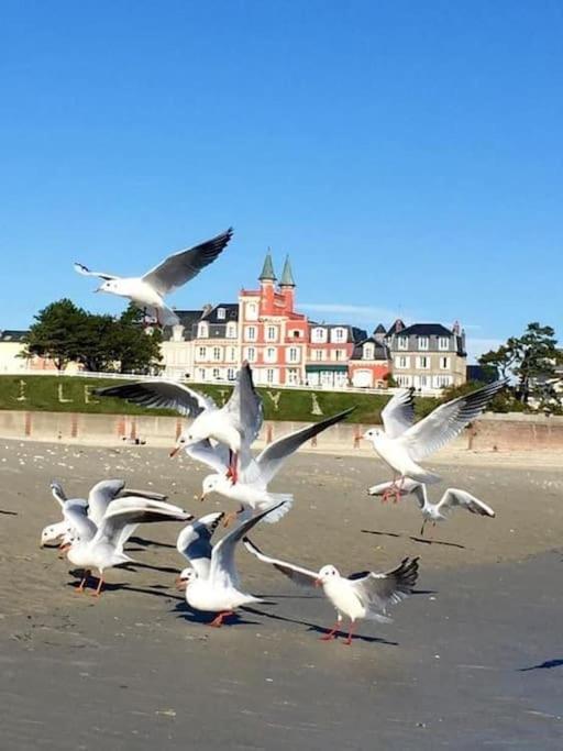 Les Pieds Dans L'eau... Au Chaud !!!