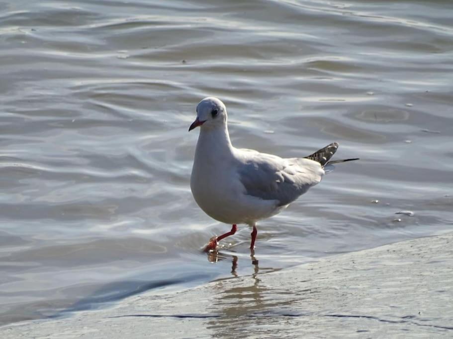 Holiday home Les Pieds Dans L'eau... Au Chaud !!! *